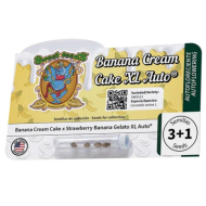 Autofiorenti: Auto Banana Cream Cake XL 3+1 fem
